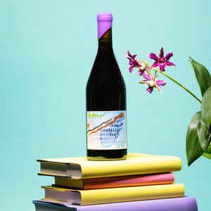 2018 Gamay Noir