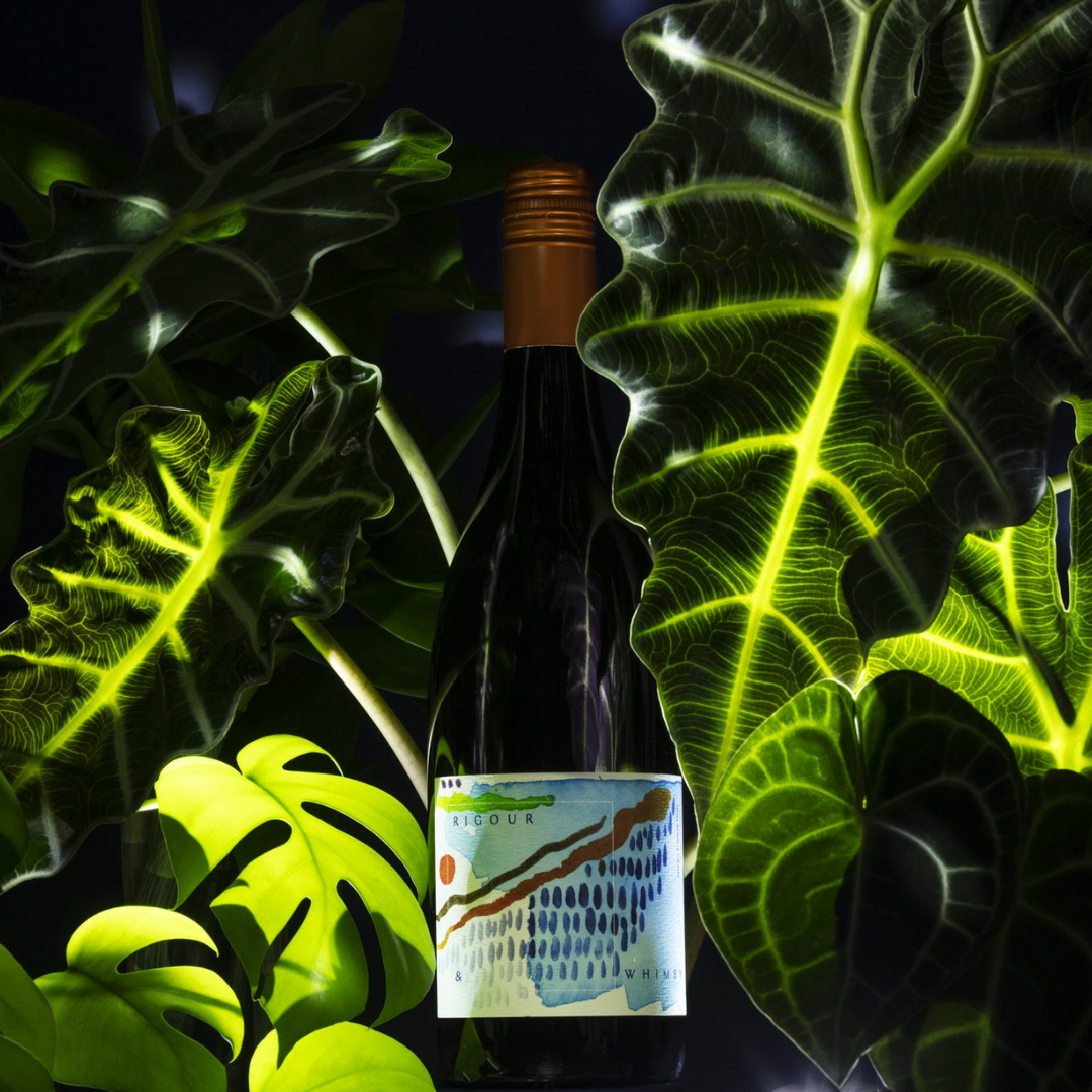 2019 Gamay Noir