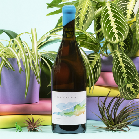 2017 Pinot Blanc